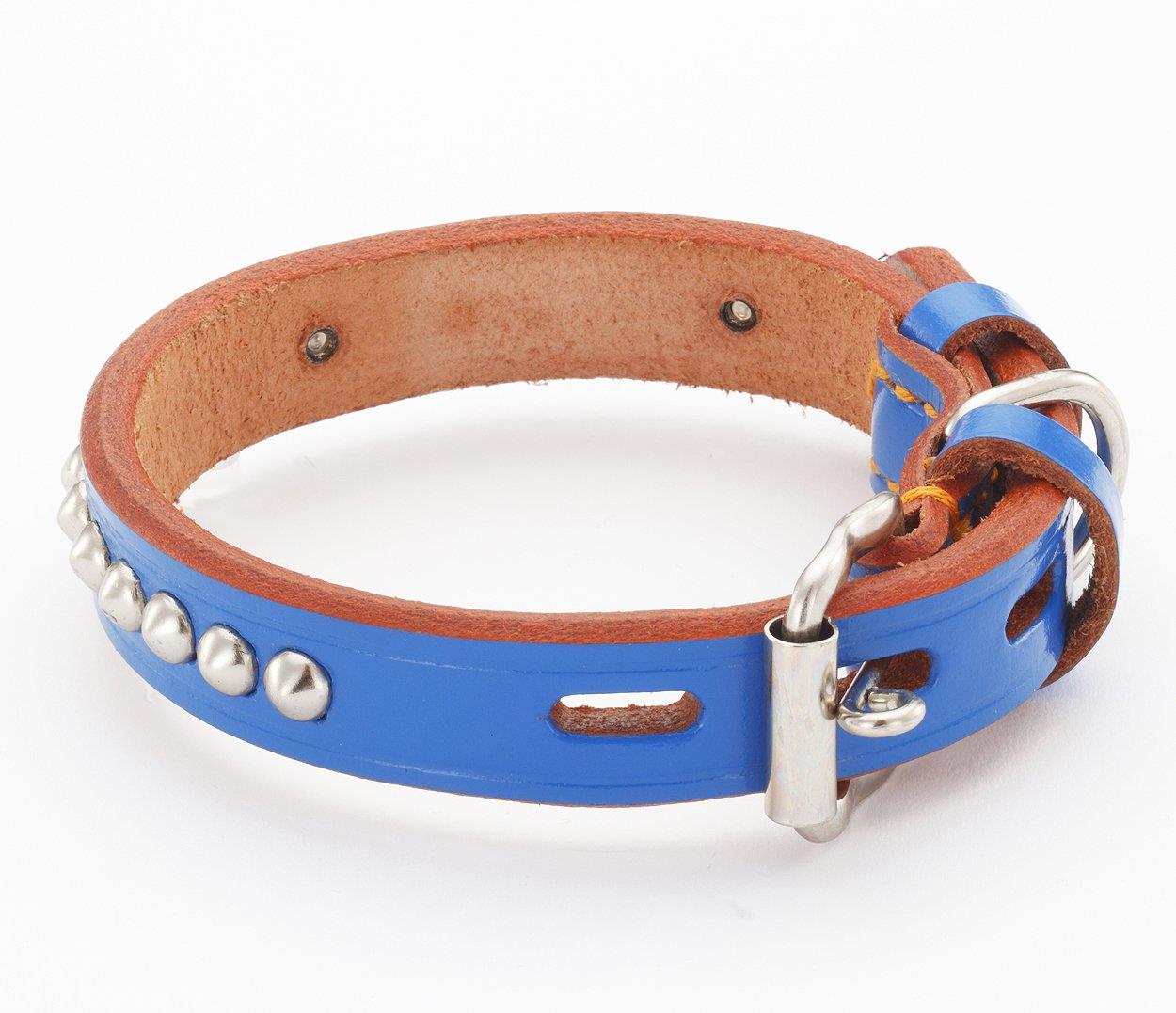 ペティオ (Petio) 手縫平首輪中一 ブルー 短毛・小型犬用 21mm