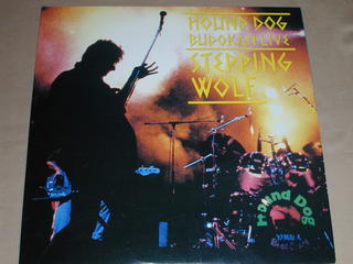 （LD）ハウンド・ドッグ／STEPPING　WOLF（BUDOKAN　LIVE）