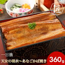 【送料無料】 穴子 アナゴ あなご やきあなご 焼き穴子 焼きアナゴ 焼きあなご ギフト お取り寄せグルメ 人気 蒲焼 かば焼き 岡富商店 国産 朝出漁して夕方...