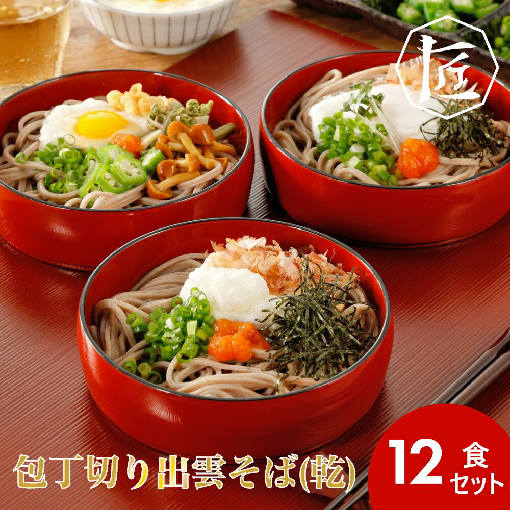 【20日20時〜 エントリーでポイント最大68倍】【送料無料】 包丁切り出雲そば(乾)12食セット ［TAKUMIの逸品］(4)
