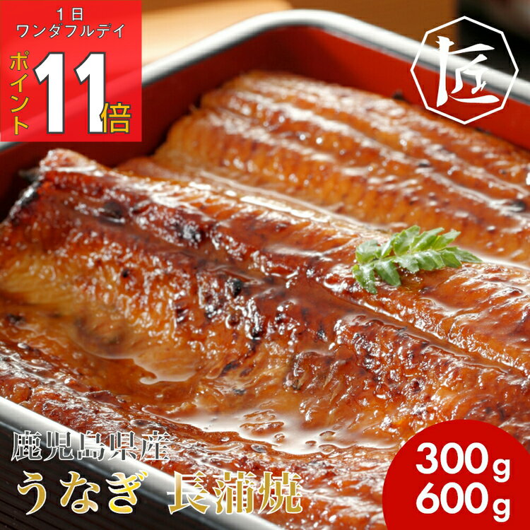 【1日ワンダフルデー PO11倍】 国産 うなぎ 土用 丑の日 家庭用 訳アリ ウナギ ひつまぶし うな丼 うな重 お買い得 お買得！ 鹿児島県産 うなぎ 長蒲焼 300g 2尾〜6尾 ［TAKUMIの逸品］