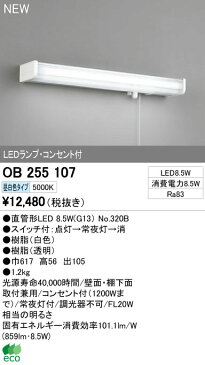 【当店おすすめ品】 OB255107LEDキッチンライト スイッチ・コンセント付 非調光 昼白色 FL20W相当オーデリック 照明器具 キッチン向け 壁面・棚下面取付兼用