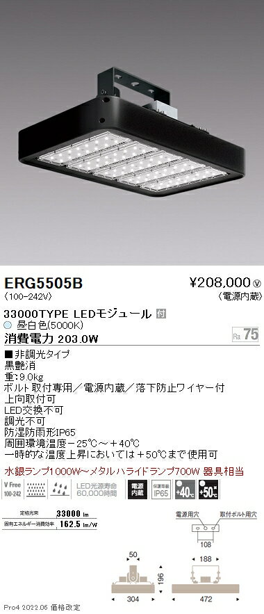 遠藤照明 施設照明高天井用 防湿防塵軽量小型LEDシーリングライトHIGH-BAYシリーズ 33000lmタイプ水銀ランプ1000W器具相当 昼白色ERG5505B