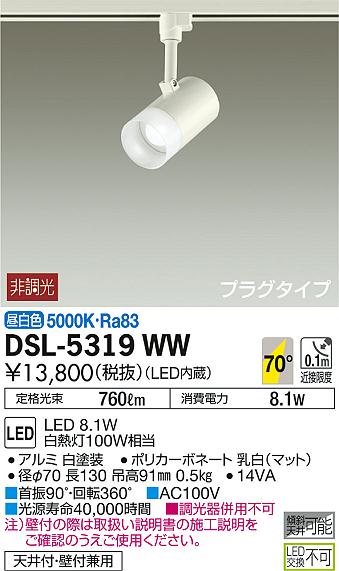 DSL-5319WWLEDスポットライト 吹抜け・傾斜天井用LED交換不可 プラグタイプ LED8.1W昼白色 非調光 白熱灯100W相当大光電機 照明器具 天井付・壁付兼用 2