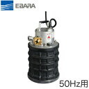 25EBQ5.4SA`쏊 crpz|v EBQ^ 40W P100V 50HzJȂǂɂ^EZEȂǂ̍ЊQ΍ Go EBARA