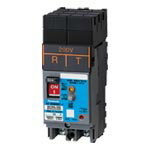 BKWA23021S RTPanasonic 電設資材 電灯分電盤・動力分電盤 分岐回路用ブレーカ漏電ブレーカ(一次側プラグインタイプ)フレーム：50AF 形名：BKWA-50SP 極数素子数：2P2E 感度電流：15mA 30A AC200V用