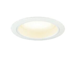 LEDD85001N (侩ץå)LED˥åȥեåȷ 饤 ŵ忧ⵤ̩SB  125 Ǯ60W饹ǥ饤ƥå  ӥ ŷ