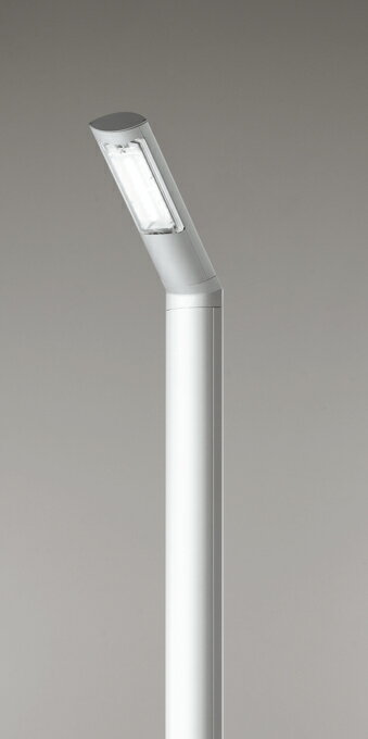 XG259003P1ƥꥢ LEDϩ ɱ 80Wǥå  ȥɥ饤