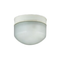 LEDEM30282HMLED非常用照明器具 専用形30形 高天井用（〜10m） 直付防湿・防雨形30分間 HACCP用リモコン自己点検機能付 非調光東芝ライテック 施設照明