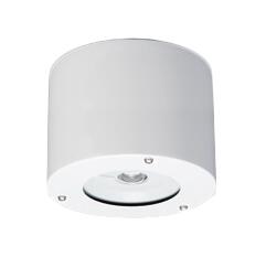 LEDGM10100WLED非常用照明器具 電源別置形高照度タイプ 直付 防湿・防雨形東芝ライテック 施設照明