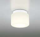 OW009296LRLEDバスルームライト 浴室灯 白熱灯器具60W相当R15高演色 クラス2 電球色 非調光オーデリック 照明器具 防湿型 天井付・壁付け兼用 シーリング