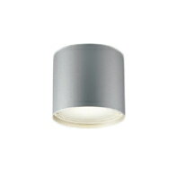 AU54780エクステリア 軒下用LEDシーリングライトランプタイプ 重耐塩仕様 密閉式白熱球100W相当 非調光 昼白色コイズミ照明 照明器具