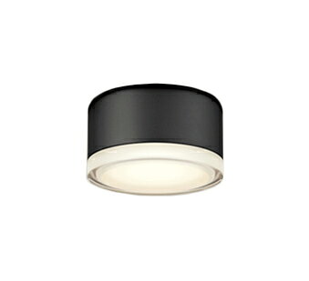 OG254599LRエクステリア LEDポーチライト 白熱灯器具100W相当R15高演色 クラス2 電球色 非調光オーデリック 照明器具 屋外用 玄関灯 壁面・天井面・傾斜面取付兼用