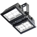 ECF17101/SAN8/DGLED投光器 レデイオック フラッド アーバンビュー屋外専用 電源ユニット内蔵形 耐塩仕様縦長配光タイプ 昼白色岩崎電気 施設照...