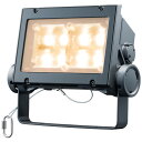 ECF6040W/VLSAN8/DGLED投光器 レディオック フラッド ネオ 美vid 60クラス 広角タイプ 電球色屋外・屋内用 電源ユニット内蔵形 耐塩仕様岩崎電気 施設照明