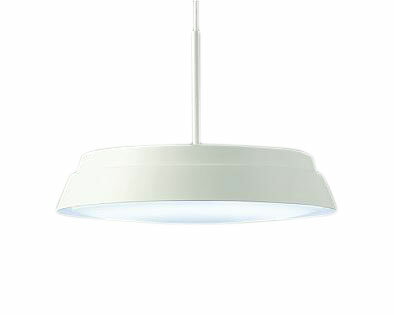 DPN-41973LED主照明ペン...