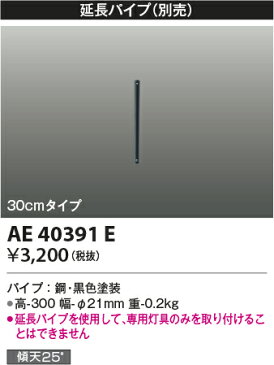 コイズミ照明 照明器具部材インテリアファン S-シリーズ ビンテージタイプ用 延長パイプ 30cmタイプAE40391E