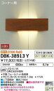 大光電機 照明器具LEDブラケットライト コーナー用電球色 白熱灯60WタイプDBK-38913Y