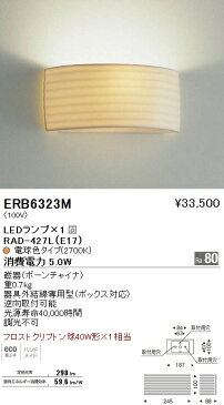 遠藤照明 照明器具LEDブラケットライト 電球色フロストクリプトン球40W形×1相当ERB-6323M