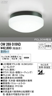 オーデリック 照明器具業務用LEDバスルームライト昼白色 非調光 FCL30W相当OW269016ND