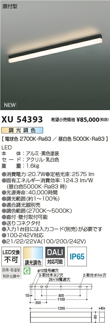 XU54393LEDベースライト Solid Seamless Outdoor調光調色タイプ 屋外用 直付型 L1200mmコイズミ照明 施設照明 店舗・オフィス向け 基礎照明 [2]
