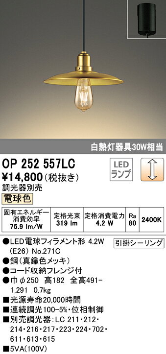 OP252557LCLEDペンダントライト フ...の紹介画像2