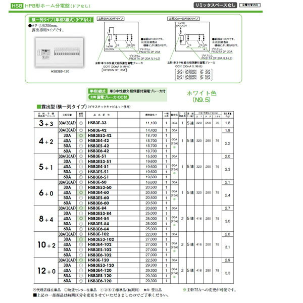 日東工業 ホーム分電盤HPB形ホーム分電盤 ドアなしリミッタスペースなし横一列タイプ(単相3線式) 露出型 主幹3P30A 分岐10＋2HSB3E53-102