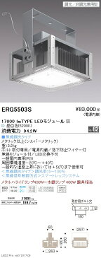 遠藤照明 施設照明高天井用照明 軽量小型LEDシーリングライト HIGH-BAYシリーズ17000lmタイプ メタルハライドランプ400W器具相当昼白色 調光/非調光兼用型ERG5503S