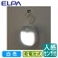 PM-L213LED󥵡ե饤 ӥ ѿʹ󥵡  ELPA īŴ 