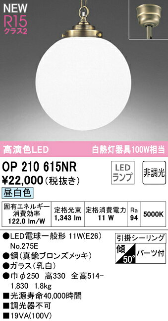 OP210615NRLEDペンダントライト R15高演色 クラス2 白熱灯器具100W相当昼白色 非調光 電気工事不要オーデリック 照明器具 天井照明 吊下げ [2]