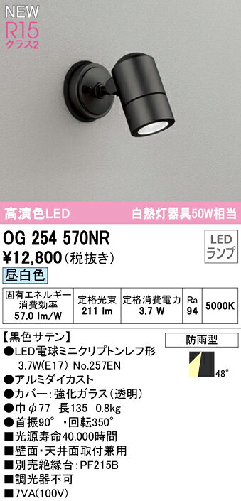タカラShop 楽天市場店の★OG254570NRエクステリア LEDスポットライト 白熱灯器具50W相当高演色R15 クラス2 昼白色 非調光 防雨型オーデリック 照明器具 アウトドアライト 壁面・天井面取付兼用｜アングル2