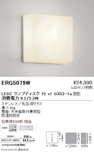ERG5079WSTYLISH LEDZ アウトドアブラケット/シーリングライト壁面・天井面取付兼用 本体のみ ランプ別売 Disk75 防湿防雨形遠藤照明 施設照明 [2]