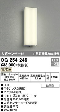 OG254246エクステリア LEDフラットポーチライト防雨型 人感センサ付 電球色 白熱灯60W相当オーデリック 照明器具 玄関 屋外用