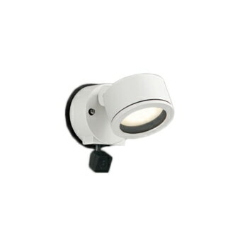 OG264205LCRエクステリア LED人検知カメラ付スポットライト GX53 白熱灯器具60W相当R15高演色 クラス2 101°拡散配光 電球色オーデリック 照明器具 アウトドアライト 屋外用