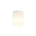 OW269051BRLEDバスルームライト 脱衣場ライトR15高演色 クラス2 白熱灯器具60W相当CONNECTED LIGHTING LC-FREE 調光・調色 Bluetooth対応オーデリック 照明器具