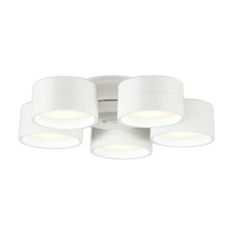 ※灯具のみ。ファンは別売です。電球色/昼白色定格光束：2930lm定格消費電力：28WRa942700/5000KLED電球フラット形5.6W×5(GX53-1a)No.241G鋼(オフホワイト色)・樹脂(オフホワイト色)巾φ333・高81・1.8kgシーリングファン灯具WF237P1・239P1専用光色切替・連続調光100〜5%(光色は調光した明るさで切替可能)ファン本体と組合せてリモコンをご使用ください受光部カバーは組合せ本体に付属しています調光器不可定格光束は昼白色時の値(電球色時は9割程の明るさ)48VA(100V)LEDランプ〜8畳※この商品単体では使用できません。【LED照明】 【調色】 【調光可】 【〜8畳】検索用カテゴリ2