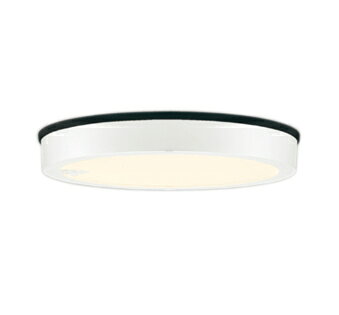 OG254814Rエクステリア LEDシーリングライト FLAT PLATE R15高演色 クラス2FCL30W...