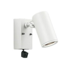 OG264217P1エクステリア LEDスポットライト 灯具のみ人検知カメラ付 コーキングレ...