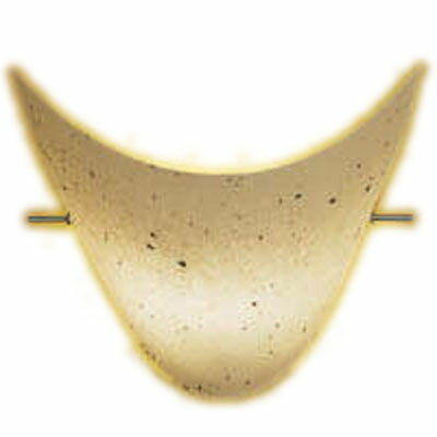 AB38176LLED和風ブラケットライト上面開放 非調光 電球色 白熱球40W相当コイズミ照明 照明器具 和室用 インテリア照明