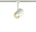 DSL-4895YWLEDスポットライト LED交換可能プラグタイプ 傾斜天井対応 天井付・壁付兼用電球色 非調光 白熱灯60W相当大光電機 照明器具 吹き抜け天井用