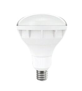 ��ƣ���� ���ץХ饹�ȥ쥹����շ�LED����300W�� E39���� ���� ��Ĵ��RAD-590N