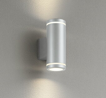 OG254888エクステリア LEDポーチライト 灯具のみ上下配光 防雨型オーデリック 照明器具 玄関・エントラ..