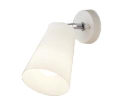 ��LEDS88020F (�侩���ץ��å�)LED�ŵ� �����ŵ�� ���ݥåȥ饤�ȥե�󥸥����� ŷ�桦���̷��� ��Ǯ�����60W���饹��ǥ饤�ƥå� �������