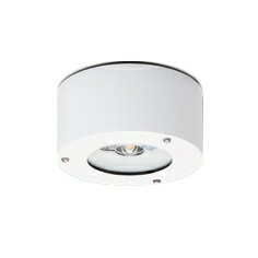 LEDEM30290WMLED非常用照明器具 専用形30形 中天井用（〜8m） 直付防湿・防雨形30分間 リモコン自己点検機能付 非調光東芝ライテック 施設照明
