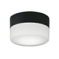 AU52646エクステリア 軒下用LEDシーリングライト要電気工事 非調光 昼白色 防雨 防湿型 白熱球60W相当コイズミ照明 照明器具 洗面所 廊下 玄関 屋外用照明 直付・壁付取付