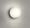 OG264002RGフルカラー調光・調色 LED業務用バスルームライト 浴室灯 白熱灯器具60W相当CONNECTED LIGHTING LC-FREE RGB Bluetooth対応オーデリック 照明器具 防雨・防湿型 天井付・壁付け兼用