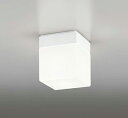OW009421LRLEDバスルームライト 浴室灯 白熱灯器具60W相当R15高演色 クラス2 電球色 非調光オーデリック 照明器具 防雨・防湿型 天井付・壁付け兼用 軒下用