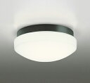 OW269016LRLED業務用バスルームライト 浴室灯 FCL30W相当R15高演色 クラス2 電球色 非調光オーデリック 照明器具 防雨・防湿型 天井付・壁付け兼用 シーリング