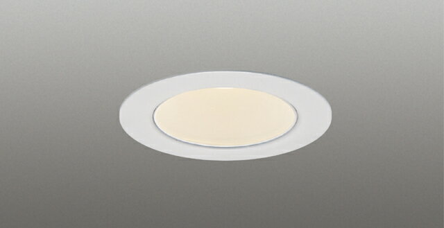 LEDD-05304N-RD1LED小径ダウンライト 埋込穴φ50 白色深形 狭角 昼白色 調光可東芝ライテック 施設照明