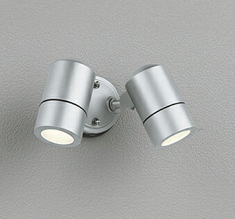 OG254565LRエクステリア LEDスポットライト 白熱灯器具50W×2灯相当高演色R15 クラス2 電球色 非調光 防雨型オーデリック 照明器具 アウトドアライト 壁面・天井面取付兼用